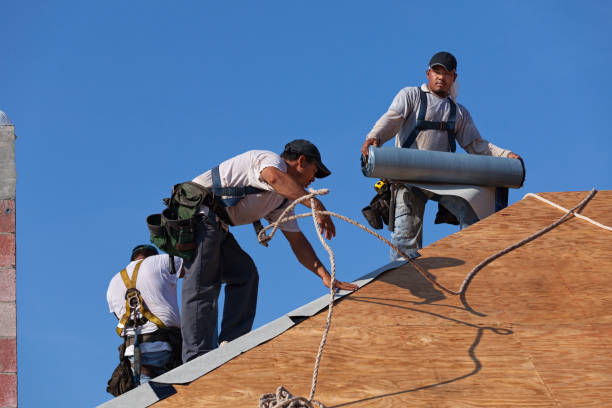 Best New Roof Installation  in Fayette, MS